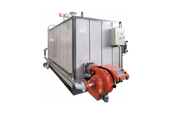 低氮燃?xì)庹羝l(fā)生器