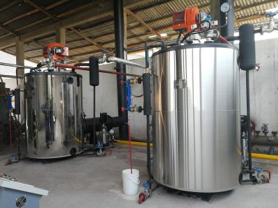 2臺(tái)2噸燃?xì)庹羝仩t